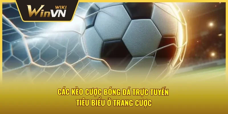 Các kèo cược bóng đá Winvn nổi bật nên biết