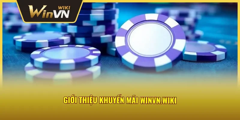 Đôi nét nổi bật về hệ thống khuyến mãi Winvn