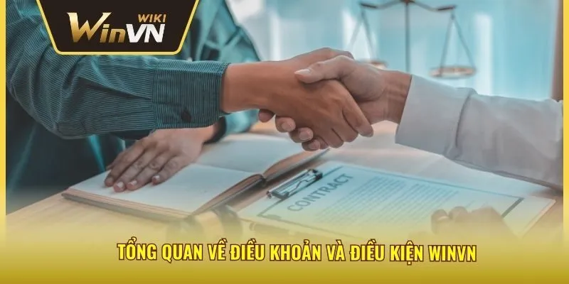 Tổng quan về điều khoản và điều kiện Winvn